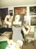 Disembodied Head